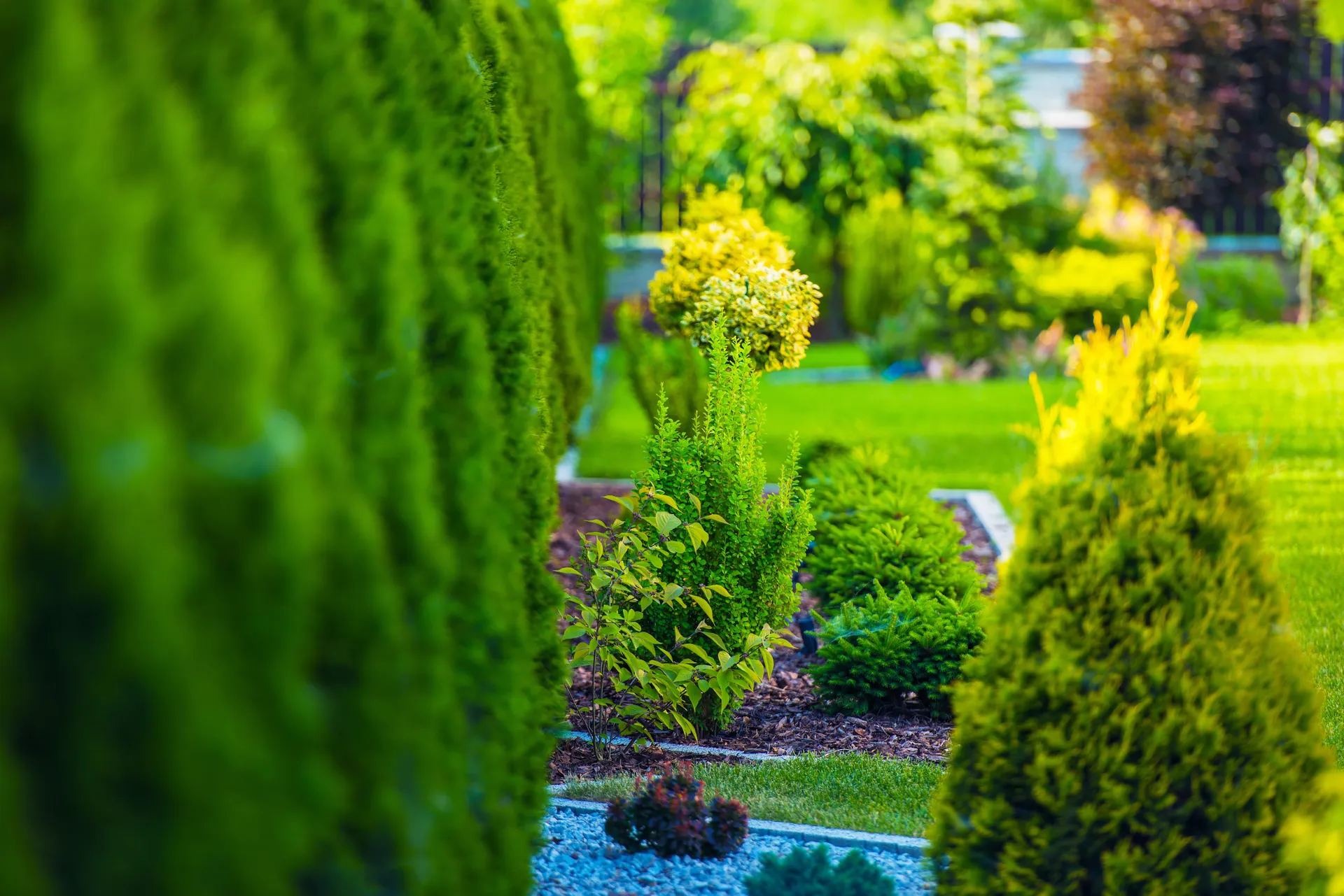 Green garden used as supporting imagery for local landscaping services in Stokesley