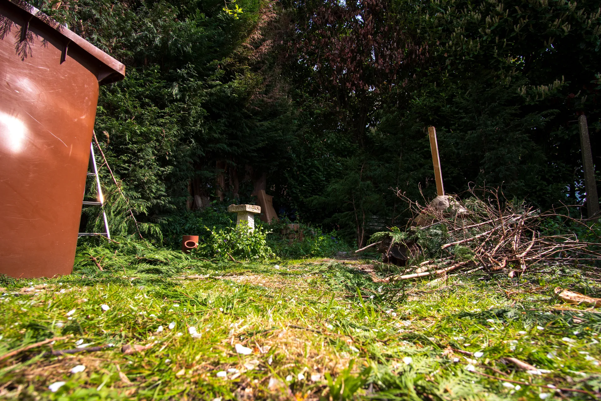 Overgrown garden clearance and tidy up